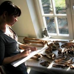 Katie analysing a skeleton